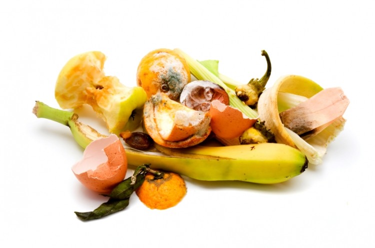 Food companies’ landfill waste plummets in UK