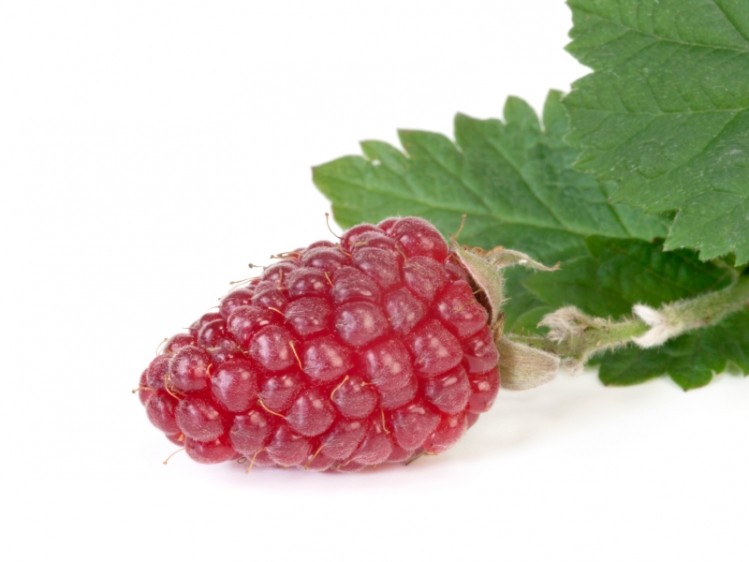 The antioxidant-rich tayberry, a blackberry-raspberry hybrid, is one of Sensient's12 flavors to watch given its health halo.