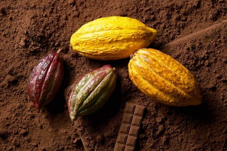 ADM Cocoa says its D-00-ZR low fat cocoa powder can maintain the structure in confectionery goods affected by high fat levels