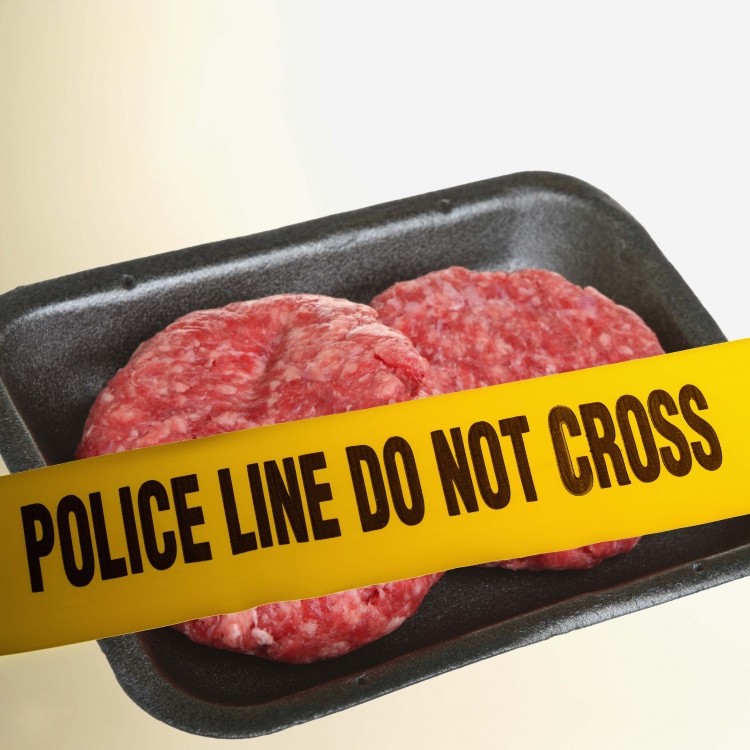 Horsemeat criminals targeted burger manufacturers, says Fairbairn