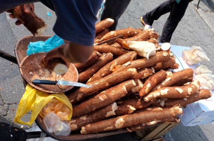 Cassava could be used in a similar way to corn to provide starch sweeteners