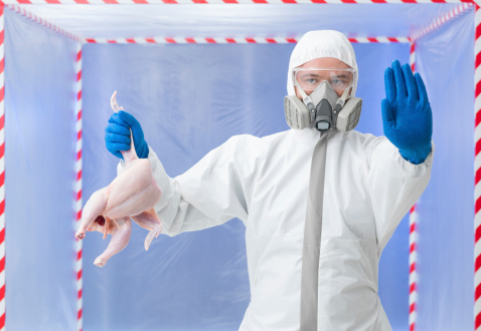 Squealer? 'Overall, the empirical results reveal that the 2011 German Dioxin scandal did not trigger a magnitude of response in demand that could have been expected from the intense media coverage of this incident.' ©iStock/shotsstudio