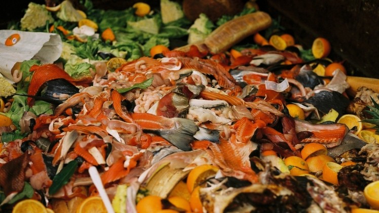 The US EPA is pushing food firms, businesses, cities, and other entities to join forces and prevent food waste.