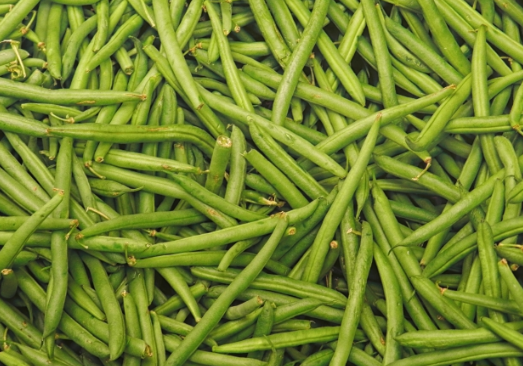 Each part was evaluated for its effect on green beans