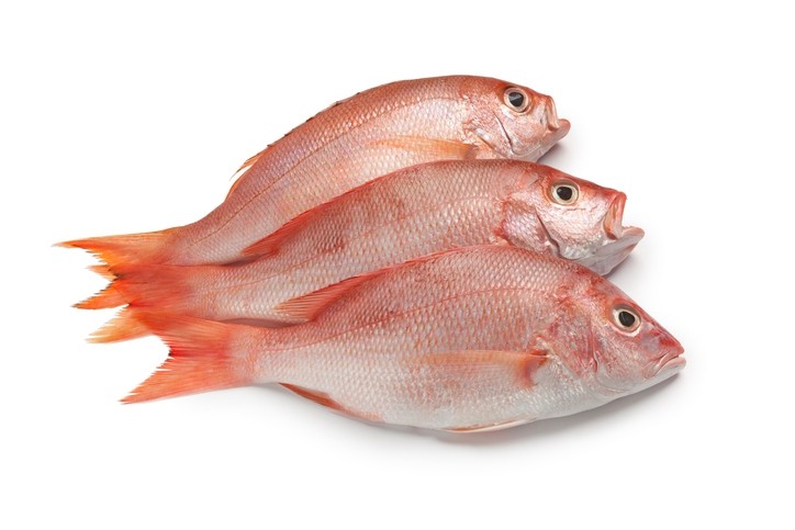 Red Snapper fish fillet from Vietnam was linked to 11 illnesses earlier this year in Germany. Picture: ©iStock/CreditPicturePartners 