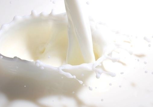 Calcium absorption theory 'insufficient' to explain milk tolerance