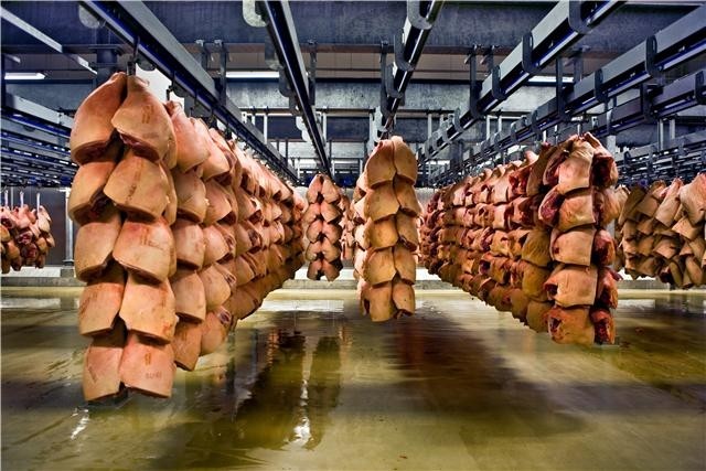 Danish Crown produces 1.3 billion kilogrammes of meat every year