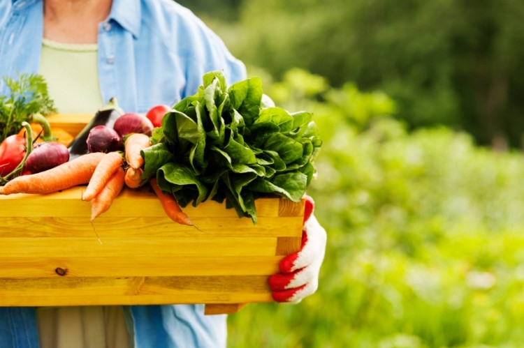 'The organic sector finally seems to have twigged that it needs to explain in simple terms why organic is worth paying more for,' says Mintel analyst, Alex Beckett.  