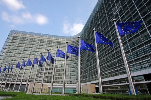 EFSA to publish report on Schmallenberg
