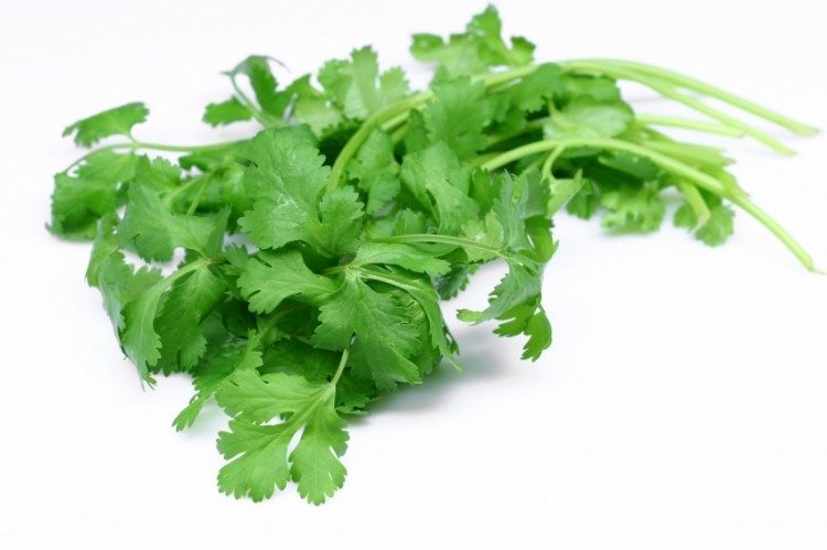 Coriander could be a new option for functional bread, suggests research