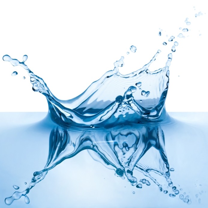 Electrolysed water products could be launched next year