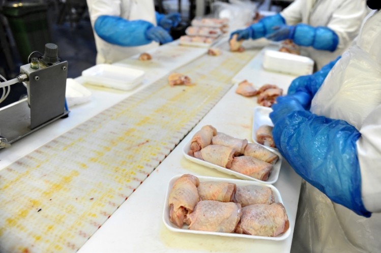 FSA retail survey on Campylobacter in chicken and other work 