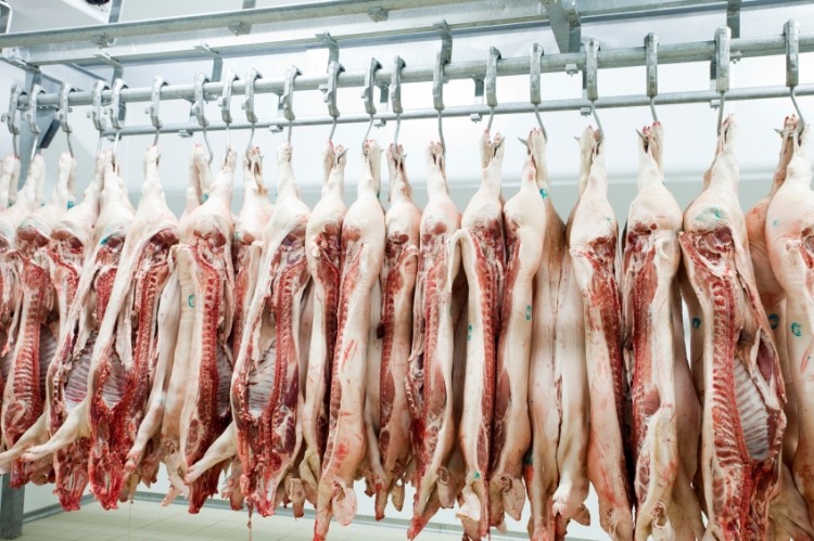 Senators want pathogen standards update for beef and pork
