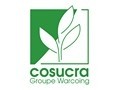 Discover Cosucra's new inulin types
