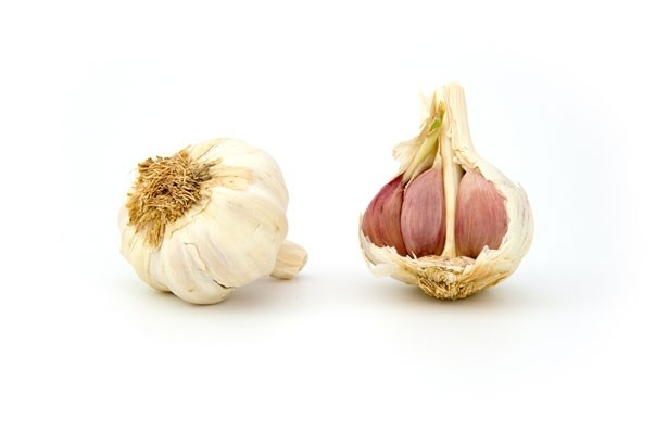 The global market for garlic powder is approximately 10.5 million MT/ year with China producing 80% of the world's needs - climatic conditions and increasing demand have led to erratic price fluctuations