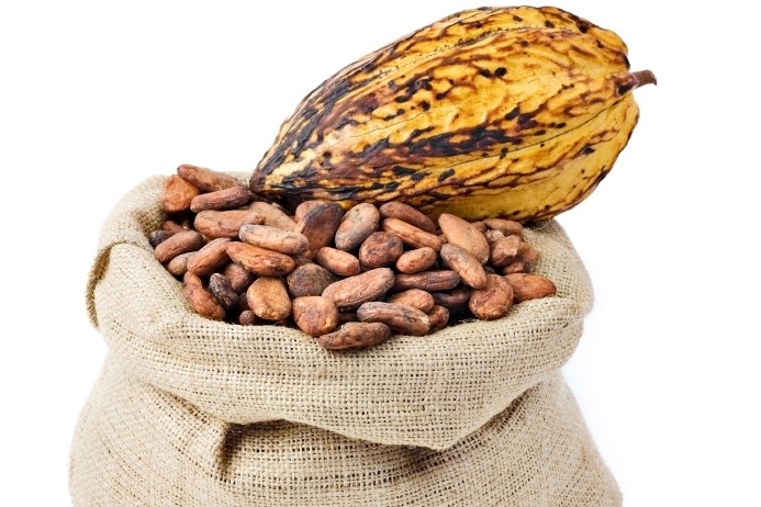 The company hopes to tap into appetite for single origin cocoa