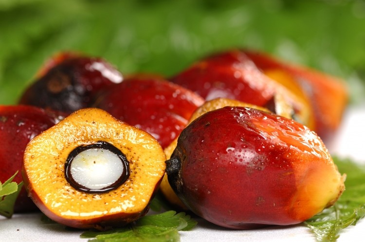 POIG sets new benchmark for responsible palm oil