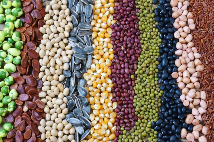 Gone global: 'Foreign crops' dominate the diets of most countries, but what is happening to crop diversity? ©iStock 