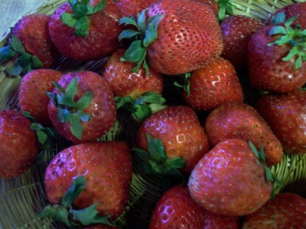 Frozen strawberries were the vehicle for the outbreak