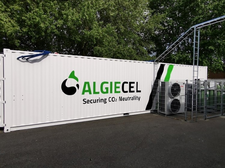 algiecel container 1