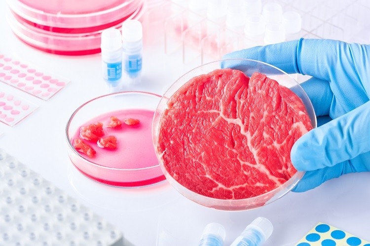 cell-based meat anyaivanova