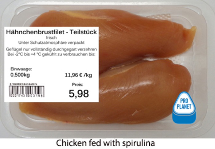 Low-Res_altmann chicken fed with spirulina 2.jpg Credit Dr Brianne Altmann