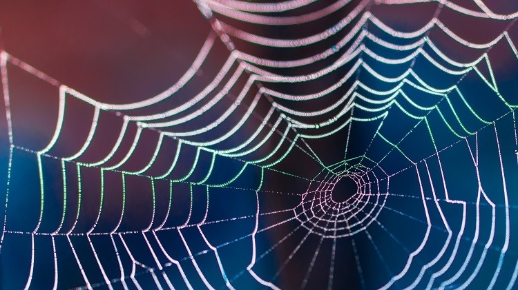 spider silk Ladislav Kubes