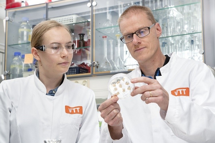 Elviira Kärkkäinen and Heiko Rischer at VTT's laboratory. Image source: VTT