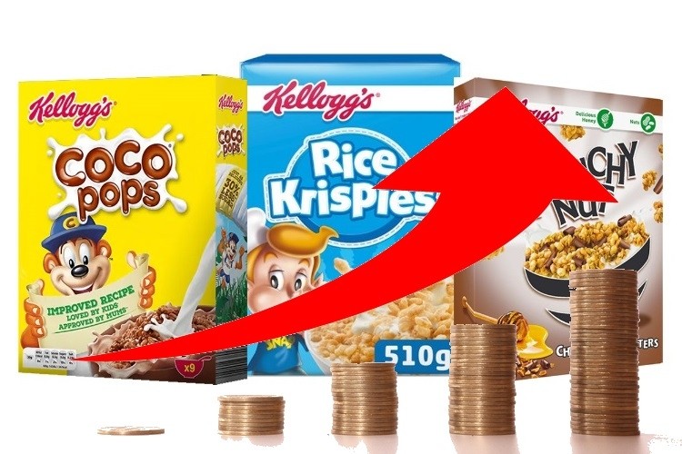 'After all we are navigating through what I think you would all agree continues to be an extremely challenging operating environment,' said Steve Cahillane, CEO of Kellogg Company. Pic: GettyImages/BBuilder/Kellogg 