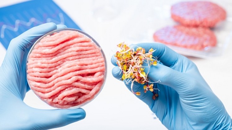 China-based HEROTEIN is hoping to become the first company in the country to commercialise hybrid plant-cultivated meat products. ©Getty Images
