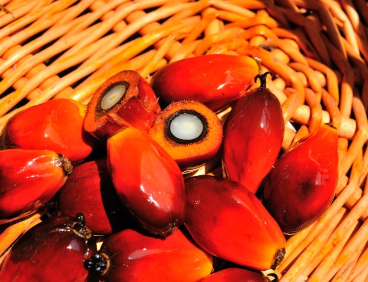 Palm oil supplier to Nestle and others caught up in corruption scandal ©iStock