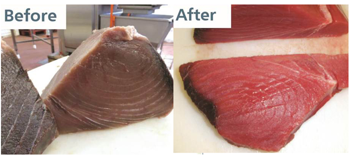 Tuna for canning was treated with chemicals in Spain that altered colour to give impression of freshness. Picture: Europol