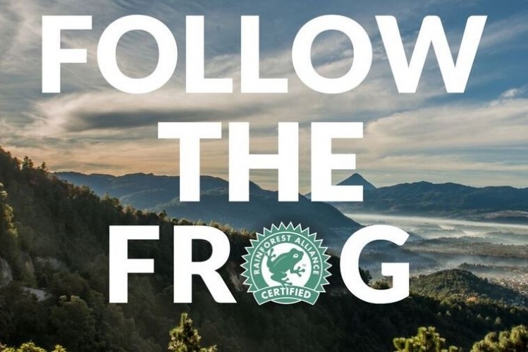 The Rainforest Alliance has been engaging with companies and consumers through its Follow the Frog campaign since 2011
