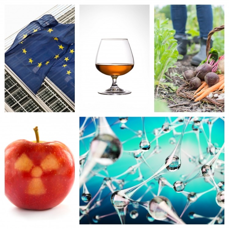 Future food predictions; fighting malnutrition & nano guidance: A round-up of EU news & views