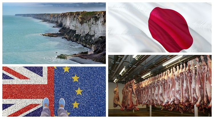 Japan-EU trade deal, Polish beef recall, and EU sustainability targets: A round-up of EU news & views