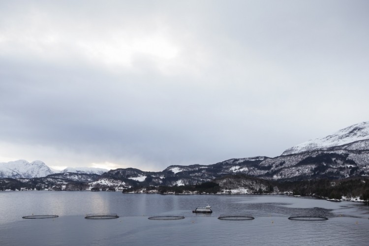 Lingalaks fish farm in Norway