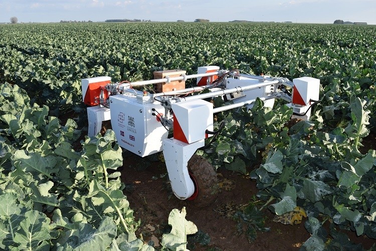 Thorvald robot in field ©University of Lincoln