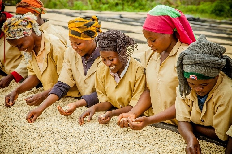 "It's very important that everyone in the supply chain – the farmer, the merchant or the roaster – add value and make a living out of the business," says Sucafina CEO Nicolas Tamari / Image source: Sucafina