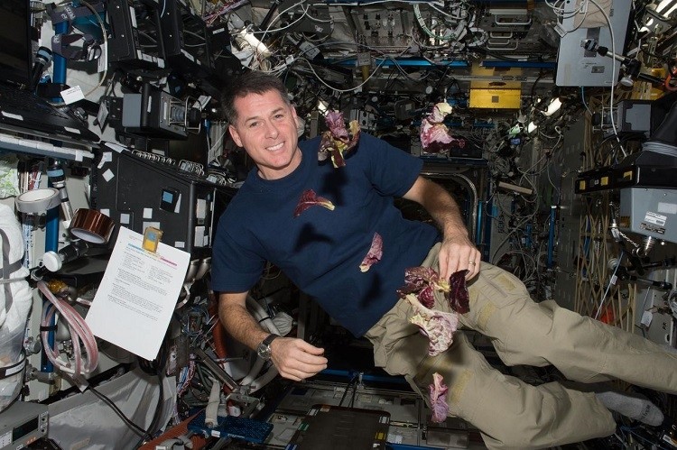 Astronaut Shane Kimbrough and floating lettuce grown on the International Space Station. Image source: NASA