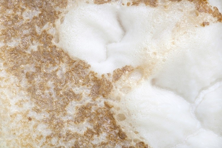 Yeap is leveraging spent yeast, that has already undergone a fermentation process (such as when brewing beer - as pictured above) to develop its alternative protein. GettyImages/LICreate