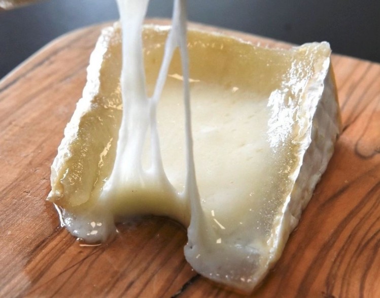 French start-up Nutopy is developing premium aged French cheeses similar to Camembert. Image: Nutropy