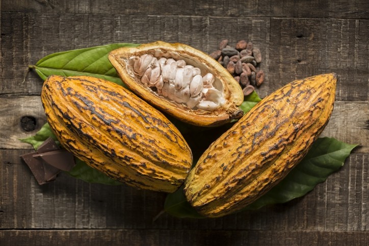 https://www.foodnavigator.com/var/wrbm_gb_food_pharma/storage/images/_aliases/wrbm_large/publications/food-beverage-nutrition/foodnavigator.com/news/business/low-cocoa-prices-pose-serious-consequences-for-long-term-supply-of-chocolate-warns-fairtrade/12631754-1-eng-GB/Low-cocoa-prices-pose-serious-consequences-for-long-term-supply-of-chocolate-warns-Fairtrade.jpg