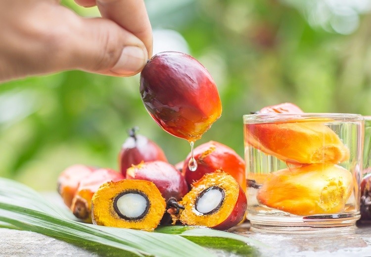 In an ideal world, no palm oil – whether sustainably produced or not – would be used, says NoPalm Ingredients CEO Lars Langhout. GettyImages/Wirachai