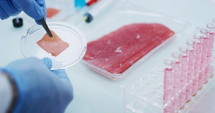 Improving the efficiency of differentiation and formation of muscle in the cultivated meat industry ‘definitely’ requires intervention, according to Israeli start-up Profuse Technology. Image source: Profuse Technology 