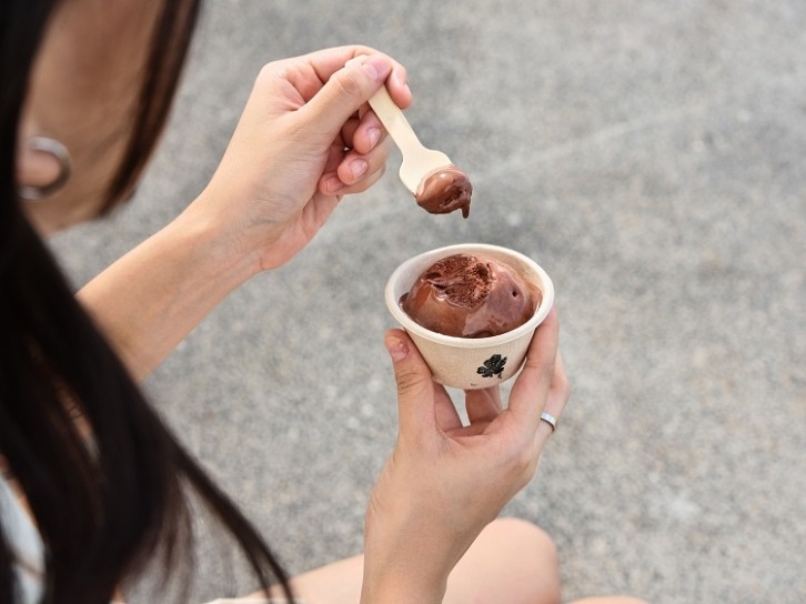 Solar Foods’ first collaboration is replacing dairy protein in a gelato dessert. Image source: Solar Foods