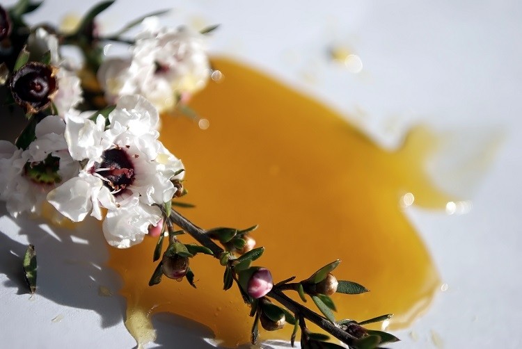 The AMHA takes issue with the UMFHA’s assertion that ‘manuka’ honey produced outside of New Zealand and not exclusively collected form a single variety of Leptospermum species is inauthentic. GettyImages/LazingBee