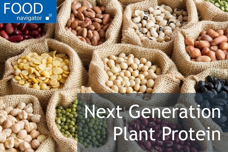 Next Generation Plant Protein: From cellular agriculture to challenges in the mainstream