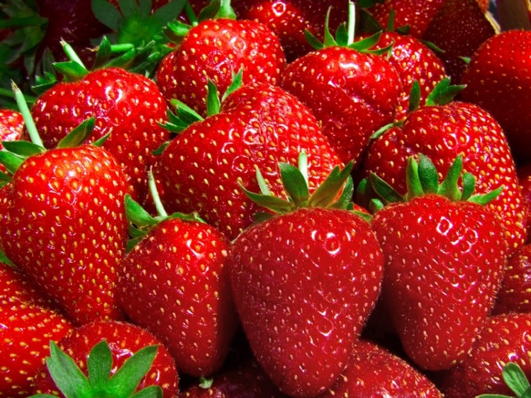 UK researchers developing robots that can harvest strawberries ©iStock/fanelie rosier