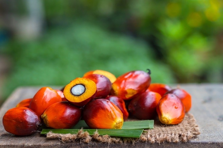 In early-stage research, scientists have linked a fatty acid found in palm oil with cancer (oral and skin) spread in mice. GettyImages/Wirachai