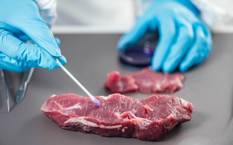 Meat innovation may be boosted by novel foods law, experts say
